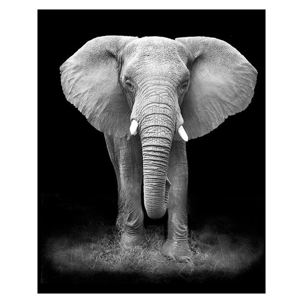 Canvas Painting Animal Wall