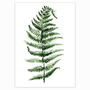 Scandinavian Green Leaves Decorative