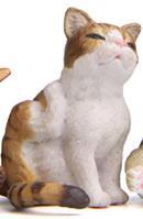 Cute Cat Creative Landscaping