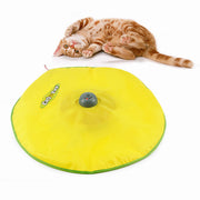 Cat Plastic Turntable