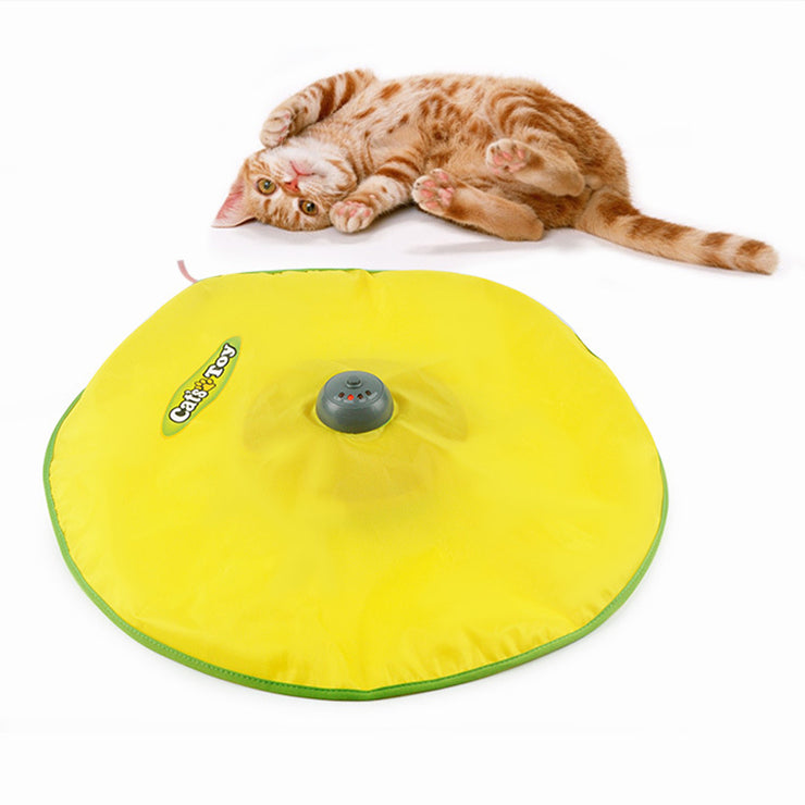 Cat Plastic Turntable