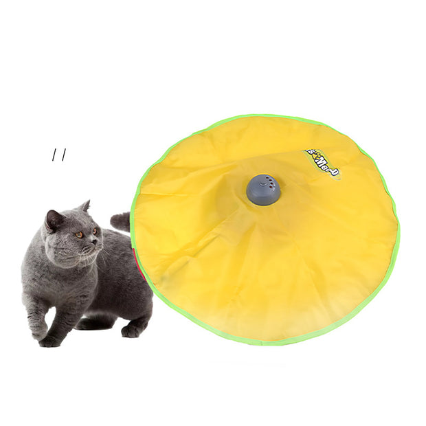 Cat Plastic Turntable